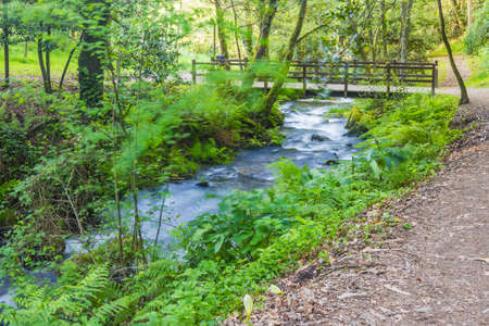 Wooden pesdestrian bridge over Armenteira river with green vegetation on the riverbank on the stone and wter route in Meis town, Galicia, Spainの写真素材