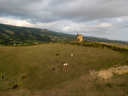 Drone view of typical azores landscape coastal with cows in a rural aerial view. Bird eye view, aerial panoramic point of view. Portugal tscenic destination.の写真素材