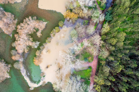 Lines, shapes and colors in abstract landscape from aerial drone view. Lake shore full of water hyacinths and a wooden deck. Fermentelos, Aveiro, Portugal.の写真素材