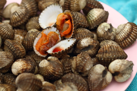 Fresh Blood Cockles market edible backgroundの写真素材