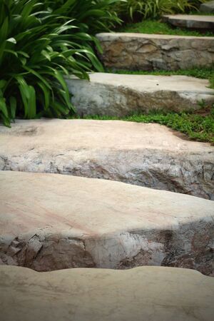 Background tract on the lawn of the park.の写真素材