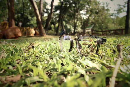 Pair of glasses on the grass