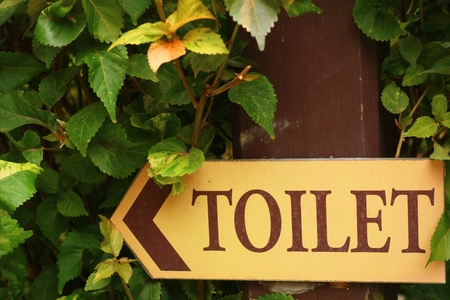 Sign toilet orange wall.の写真素材