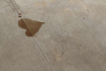 shape of heartの写真素材