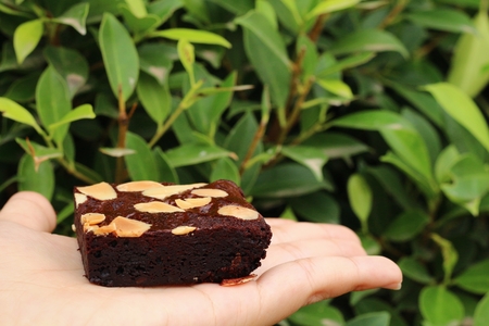 brownieの写真素材