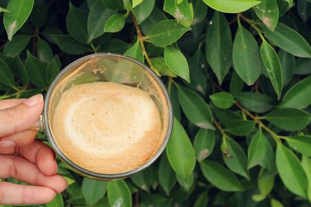 A cup of hot latte coffee in garden