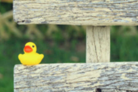Blur Lovely of yellow rubber duckの写真素材