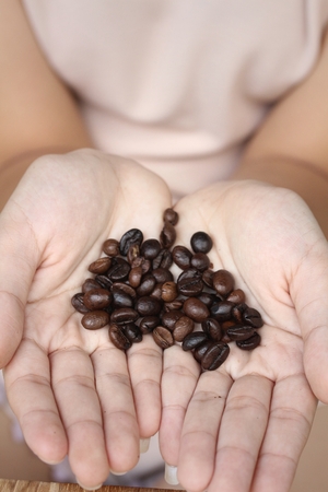 Coffee beans in the handsの写真素材