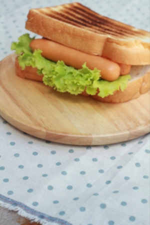 Hot dog on the plates.の写真素材