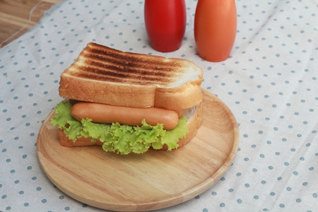 Hot dog on the plates.の写真素材