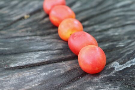 Fresh tomatoes on rustic wooden backgroundの写真素材