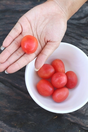 Fresh tomatoes  の写真素材