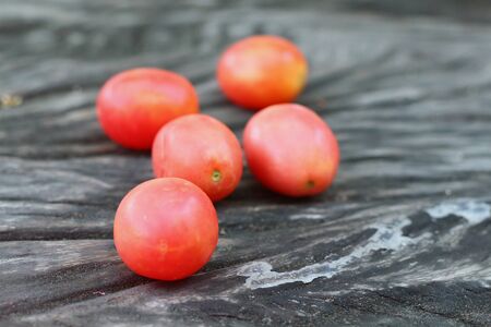 Fresh tomatoes on rustic wooden backgroundの写真素材