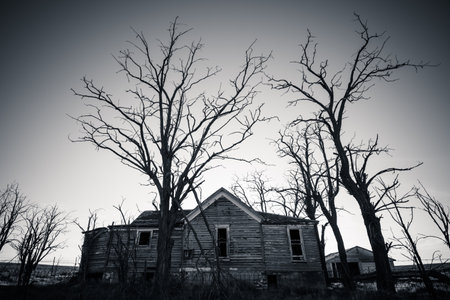 Adams County, Washington