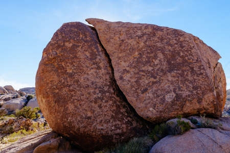 Joshua Tree National Parkの写真素材