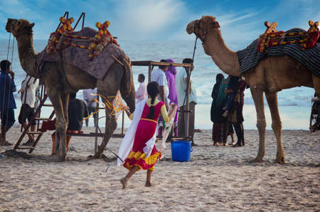 Pushkar festival is one of the biggest fare in India, A girl can be seen running cheerfully towards camels.のeditorial素材