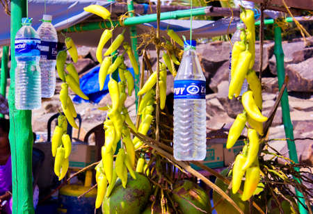 A shop sell yellow chilly and water in a summertime in a state named Kerala located in South India.の写真素材