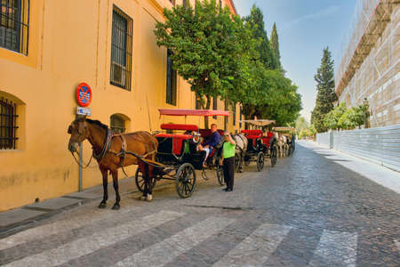Cordoba, Spain - September 02, 2015: The horse cart carriage for tourists located in spanish region of Andalusiaのeditorial素材