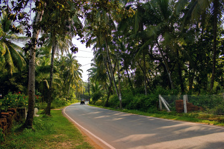 Goa, India: An auto rikshaw ( Tuk Tuk ) on turning road in a middle of Forest of palm tree. Exotic location in Goa against clear skyの写真素材