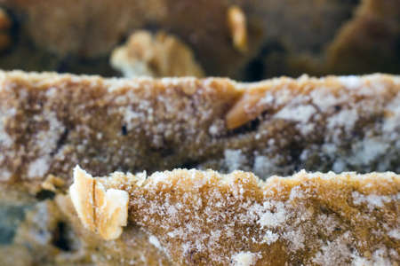 Macro close up of edge of cut loaf of oat bread piled on top of each other. Selective focus whole...
