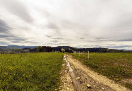 Panoramic view of a path or trail with water puddles in a middle of a green field or meadow in the country side of Poland near city called Rabka, Europe.の写真素材