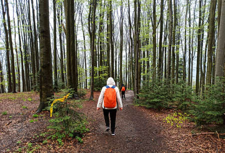 Wielki Lubon, Poland : Unidentified People hiking or trek towards lubon Wielki mountain through...
