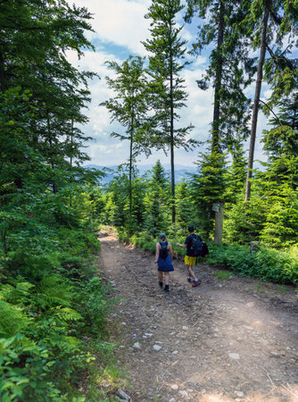 Two people or couple hiking or trekking with backpack in Beskid Sadecki, Beskids, Beskidy summer vacation outdoor activities concept on red trail to the Hala Labowska in Beskids mountains in Polandの写真素材