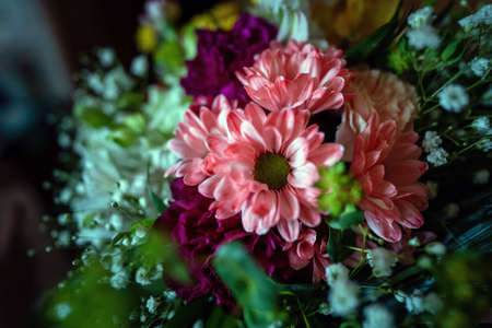 Flower dahlia bouquet plant petal pink colored autumn, bunch of beautiful colorful flowers close up...