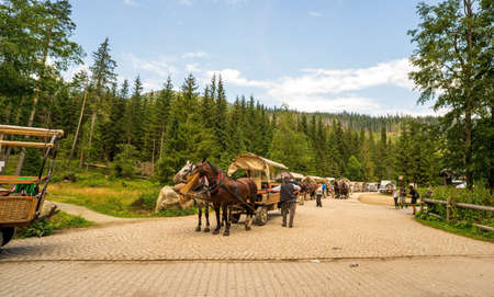 Brzegi, Poland - August 14, 2021: Parking for horse carriage on the road to Lake Morskie Oko at entrance to Tatra National Parkのeditorial素材