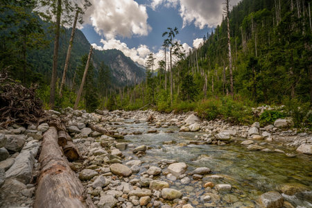 view of river stream surrounded by trees and stones on shores, hills on background, Morskie Oko, Sea Eye, Tatra National Park, Polandの写真素材