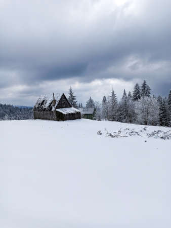 Typical abandoned wooden frozen house in wintry scenery with a lot of snow on the roof and the trees surrounding it, onset of winter in Turbacz mountain, Polandの写真素材