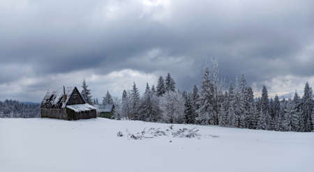 Panorama of Typical wooden frozen house in wintry scenery with a lot of snow on the roof and the trees surrounding it, onset of winter in Turbacz mountain, Polandの写真素材