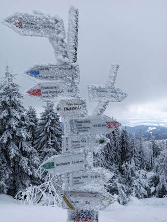 Frozen direction road sign in mountains of Poland with arrows in snow . Winter background