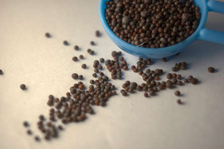 Macro close-up of Organic Black mustard seed Brassica nigra on white background. Pile of Indian Aromatic Spice. Top viewの写真素材