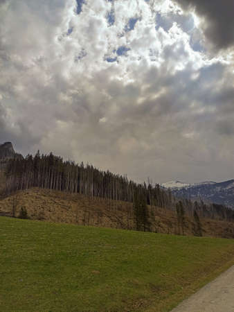 Wide angle view of mountain trees in the vallley of ChochoÅ‚Ã³w located in Zakopane, Poland