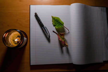 Conceptual video of an open notebook with pen, couple of semi dried leaves and burning candle...