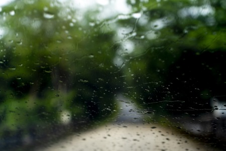 Blurred park with bokeh light a long the road in raining day on natural backgroundの写真素材