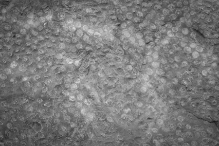 Stone texture or backgroundの写真素材