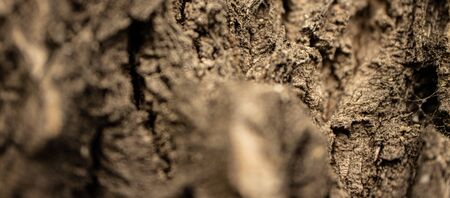 brown background with blurred wood background texture.の写真素材