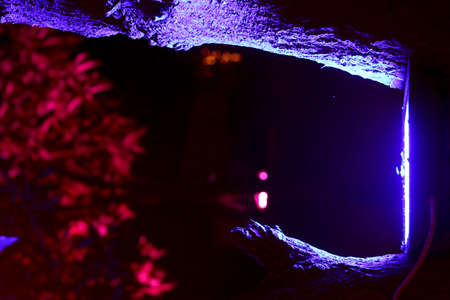 View of decoration light (Colorful halogen) hanging on tree branch at time of eventの写真素材
