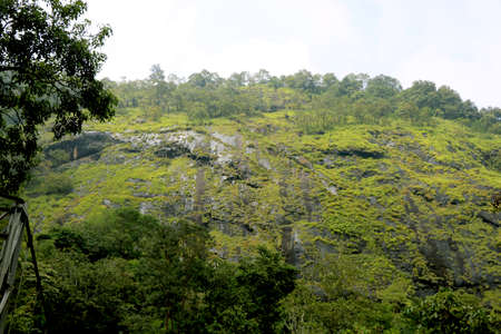 Areal view of mountain with green trees and grass on it with blue skyの写真素材