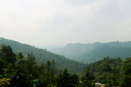 Areal view of mountain with green trees and grass on it with blue skyの写真素材
