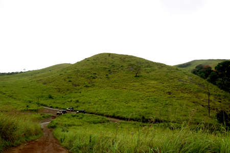 Areal view of green mountain with green trees and grass on it with blue skyの写真素材