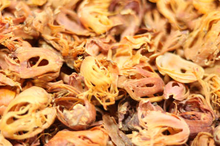 portrait view of mace spice (javtri )の写真素材