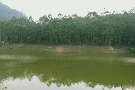 View of river in forest with background of trees and hillの写真素材