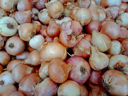 group of white onion for sale in marketの写真素材