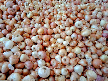 group of white onion for sale in marketの写真素材