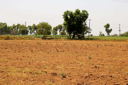 Agriculture land with nature backgroundの写真素材