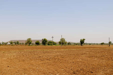 Agriculture land with nature backgroundの写真素材