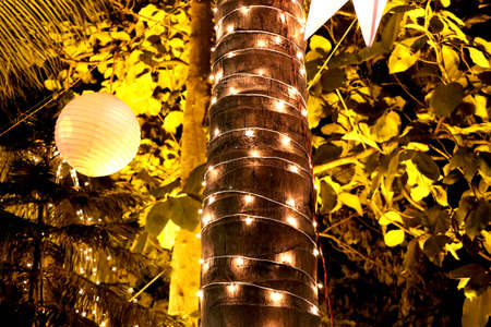 Image of Tree is decorate with lightの写真素材